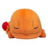 Charmander sleeping