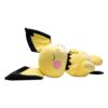 Pichu sleeping