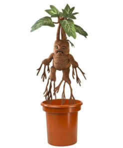 λούτρινο Mandrake